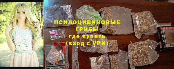 spice Алзамай