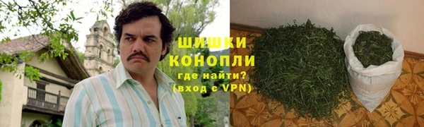spice Алзамай