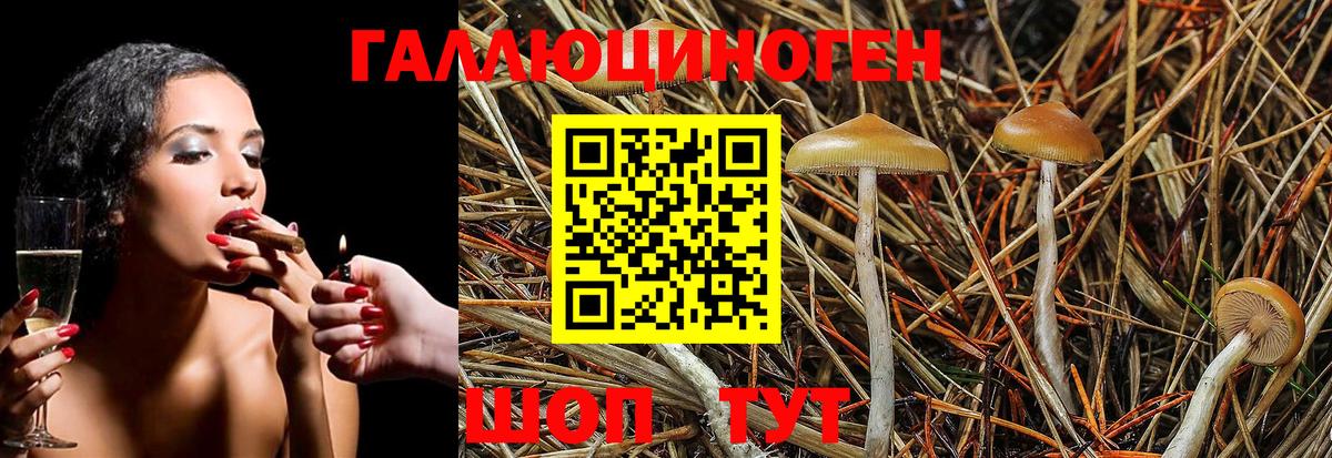 Галлюциногенные грибы GOLDEN TEACHER Выкса